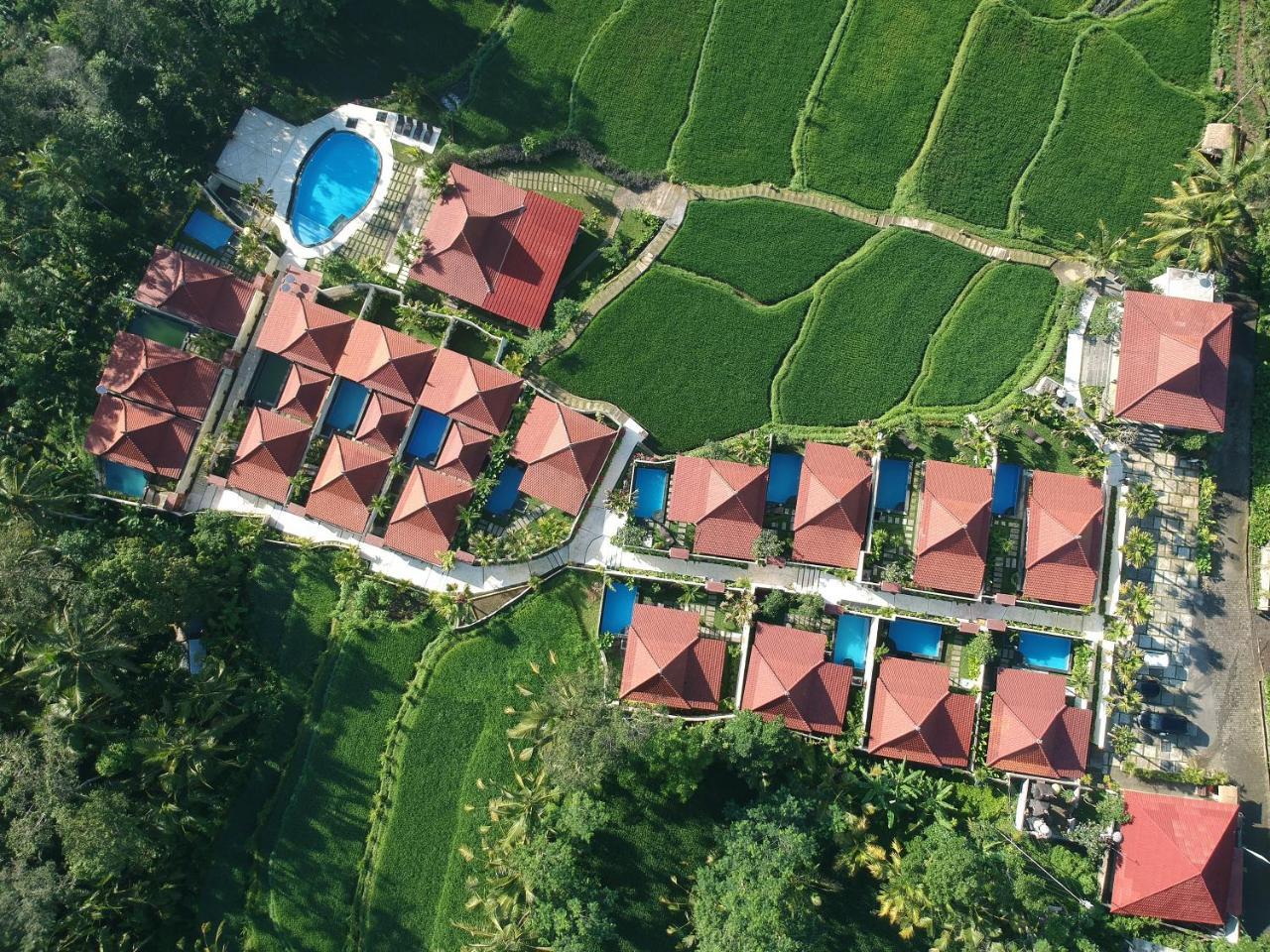 טגלאלאנג Vrindavan Ubud Villa מראה חיצוני תמונה