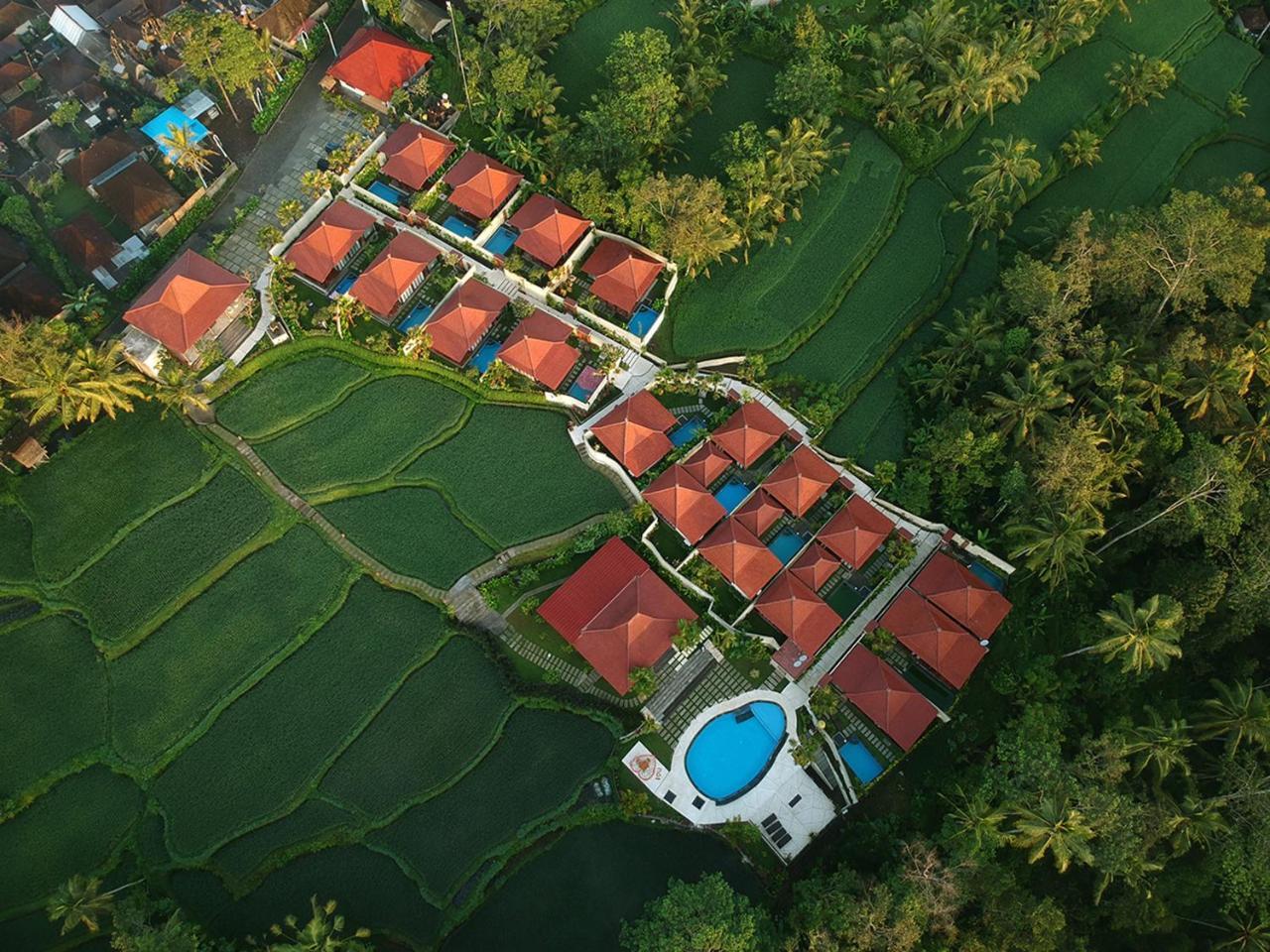 טגלאלאנג Vrindavan Ubud Villa מראה חיצוני תמונה